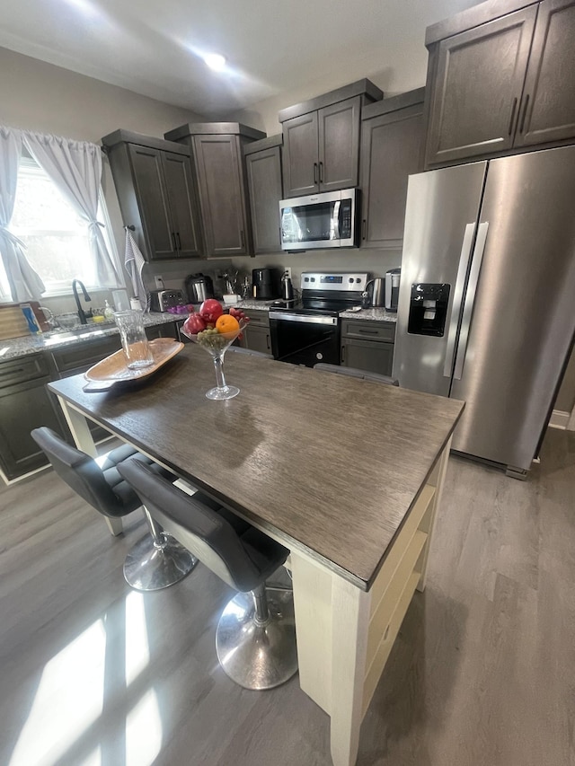 kitchen featuring light wood-type flooring, stainless steel appliances, and dark brown cabinetry