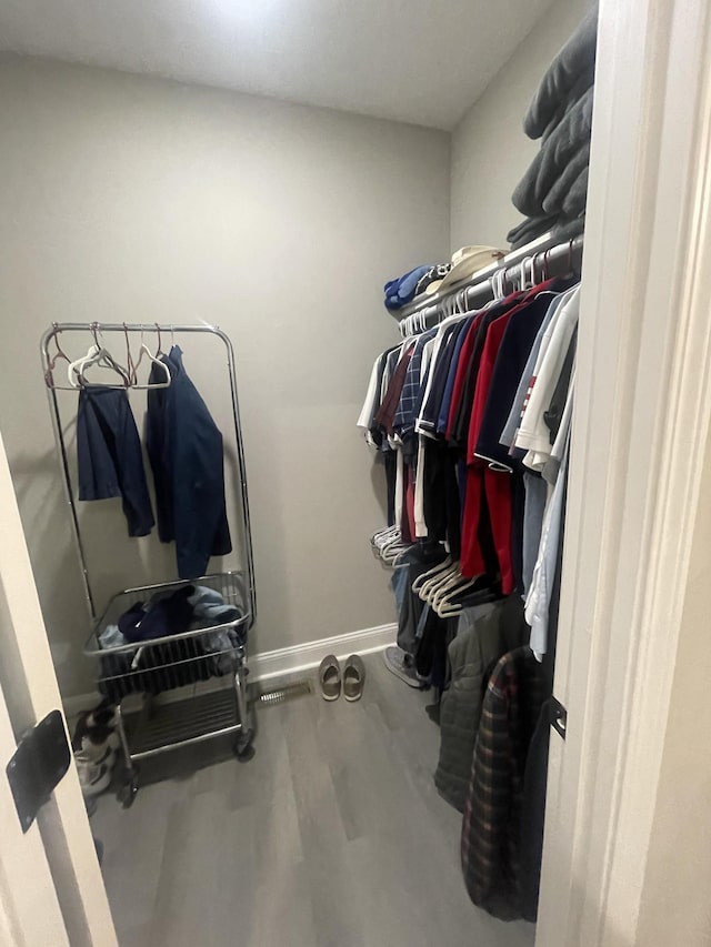 view of walk in closet