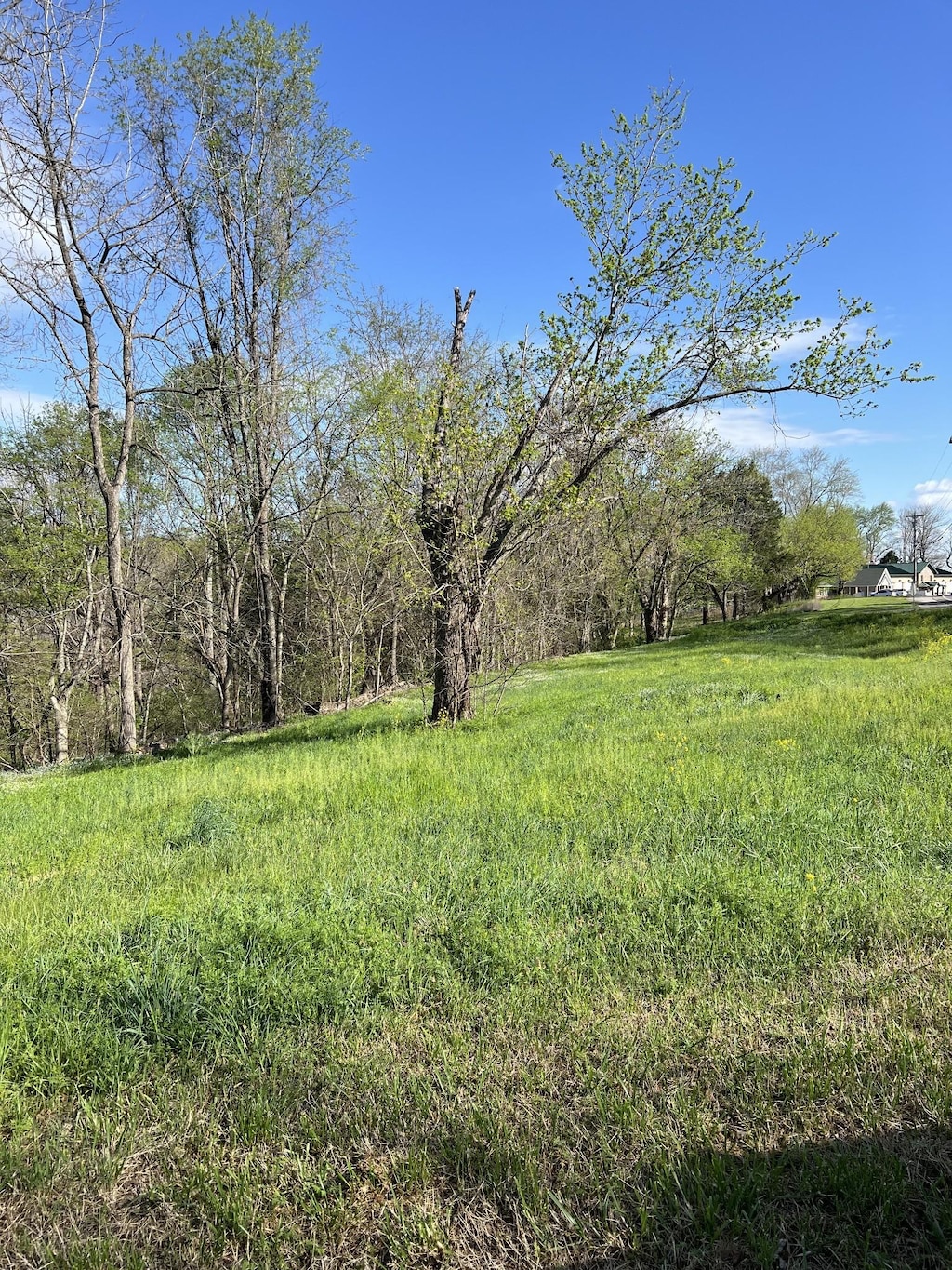 0 Lafayette Rd, Red Boiling Springs, TN 37150