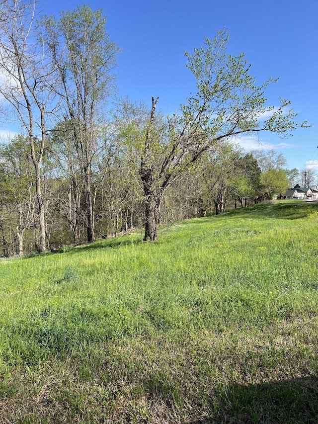 0 Lafayette Rd, Red Boiling Springs, TN 37150
