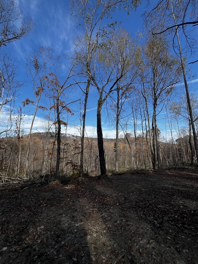 0 Northcutts Cove Rd, Beersheba Springs, TN 37305 - photo 17