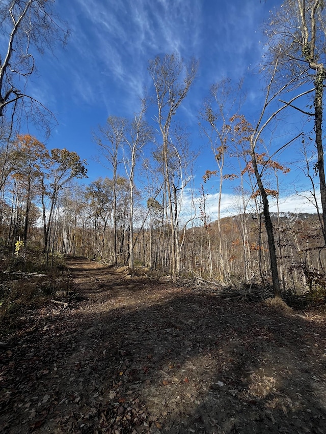 0 Northcutts Cove Rd, Beersheba Springs, TN 37305 - photo 19