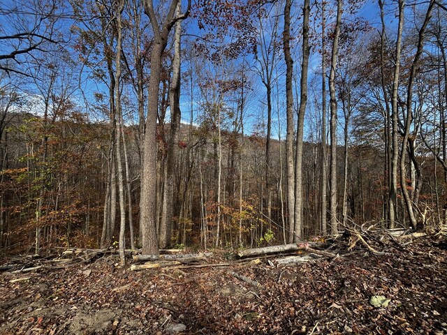 0 Northcutts Cove Rd, Beersheba Springs, TN 37305 - photo 21