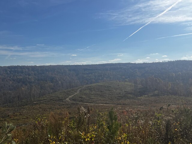 0 Northcutts Cove Rd, Beersheba Springs, TN 37305 - photo 5