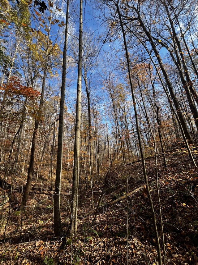 0 Northcutts Cove Rd, Beersheba Springs, TN 37305 - photo 27