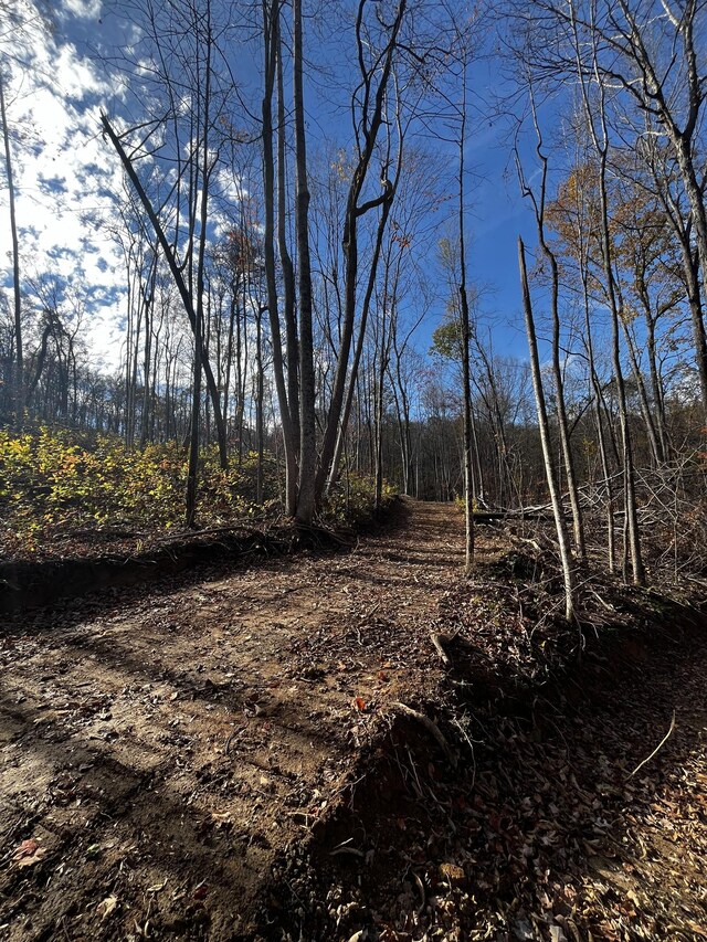 0 Northcutts Cove Rd, Beersheba Springs, TN 37305 - photo 23