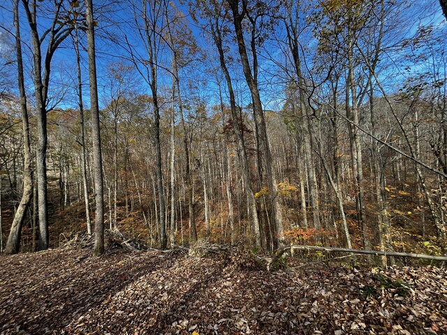 0 Northcutts Cove Rd, Beersheba Springs, TN 37305 - photo 24