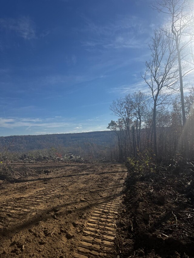 0 Northcutts Cove Rd, Beersheba Springs, TN 37305 - photo 2