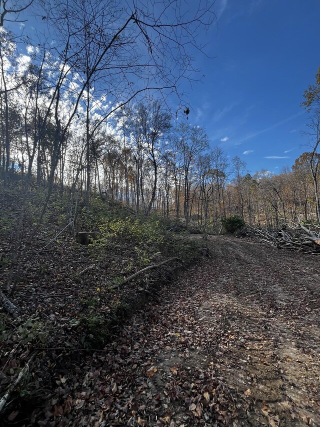 0 Northcutts Cove Rd, Beersheba Springs, TN 37305 - photo 20