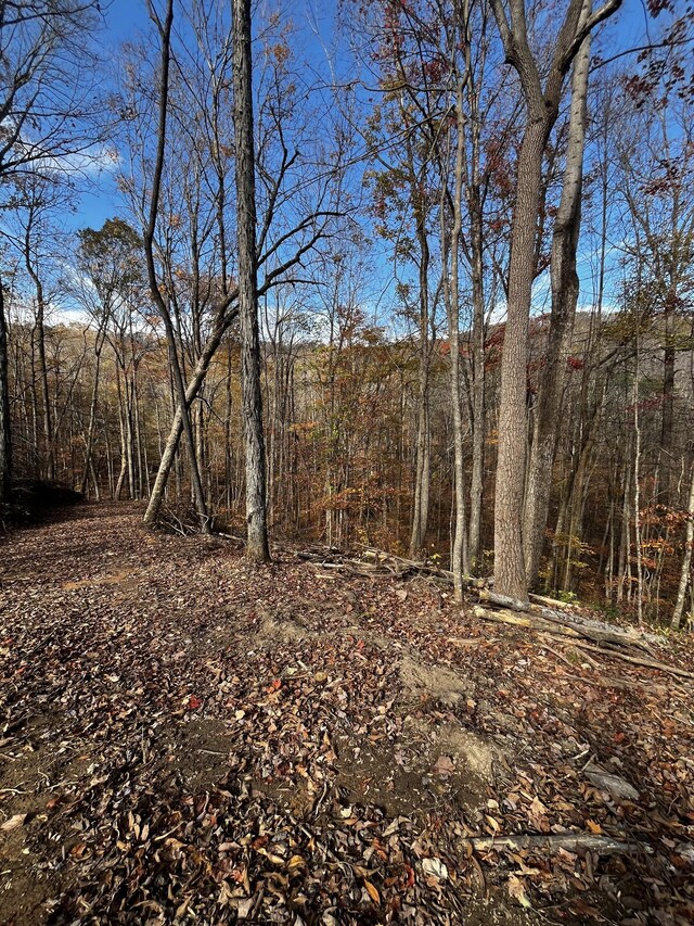0 Northcutts Cove Rd, Beersheba Springs, TN 37305 - photo 22