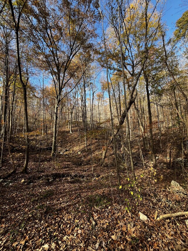 0 Northcutts Cove Rd, Beersheba Springs, TN 37305 - photo 26