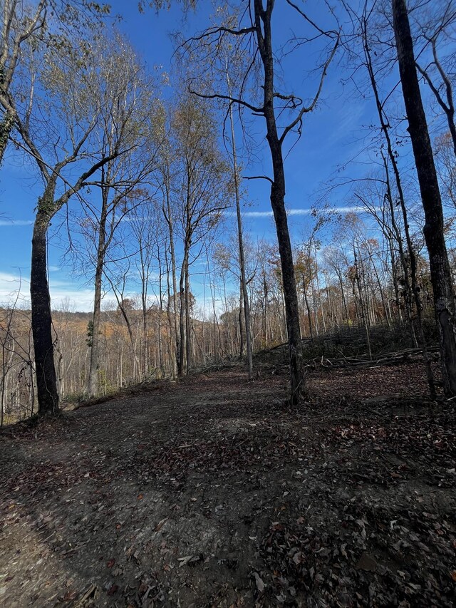 0 Northcutts Cove Rd, Beersheba Springs, TN 37305 - photo 18