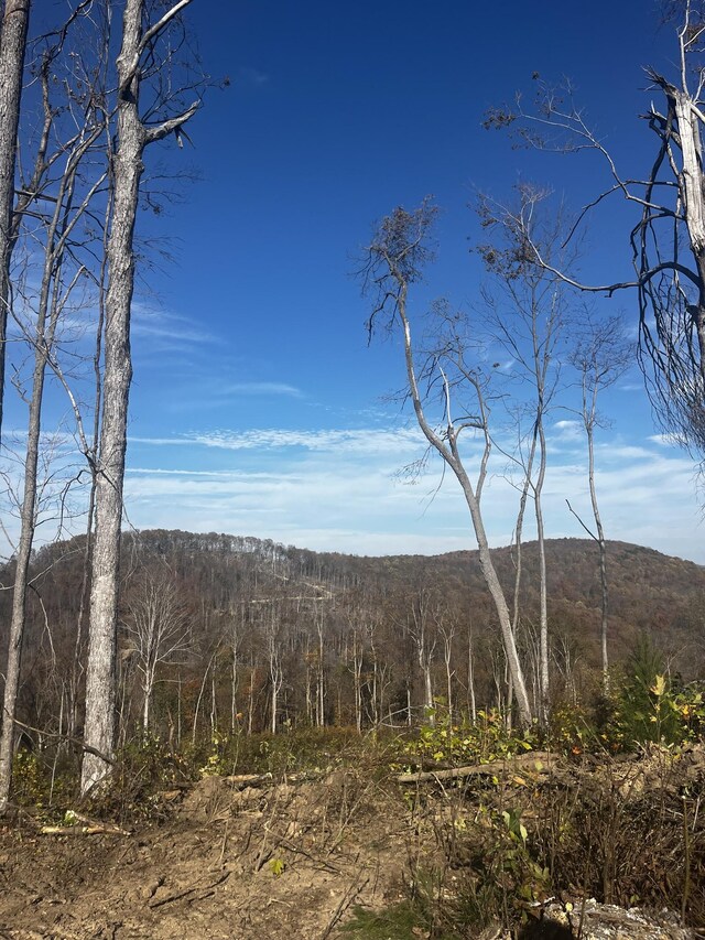 0 Northcutts Cove Rd, Beersheba Springs, TN 37305 - photo 6