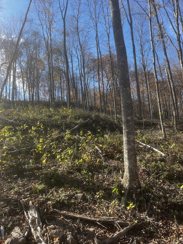0 Northcutts Cove Rd, Beersheba Springs, TN 37305 - photo 28
