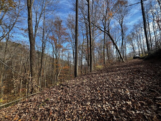0 Northcutts Cove Rd, Beersheba Springs, TN 37305 - photo 25