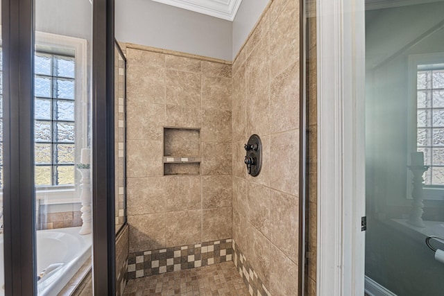 bathroom with plenty of natural light, independent shower and bath, and ornamental molding