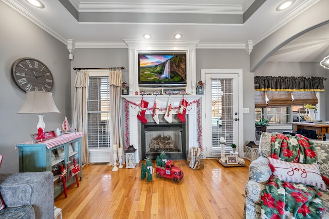 living room featuring a tray ceiling, hardwood / wood-style floors, and ornamental molding