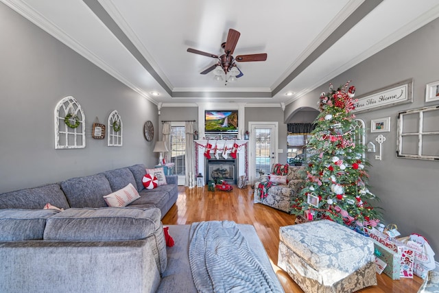 living room with hardwood / wood-style flooring, ceiling fan, a raised ceiling, and ornamental molding