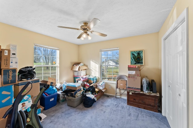 misc room featuring carpet, a textured ceiling, plenty of natural light, and ceiling fan