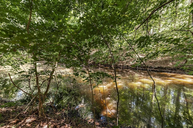 view of local wilderness with a water view