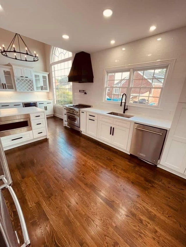 kitchen with premium range hood, white cabinets, sink, a wealth of natural light, and stainless steel appliances