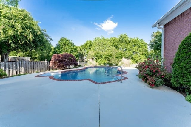 view of pool featuring a patio