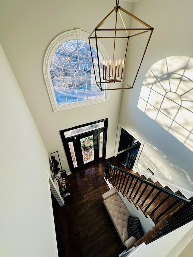 foyer featuring a notable chandelier, dark hardwood / wood-style flooring, and a high ceiling