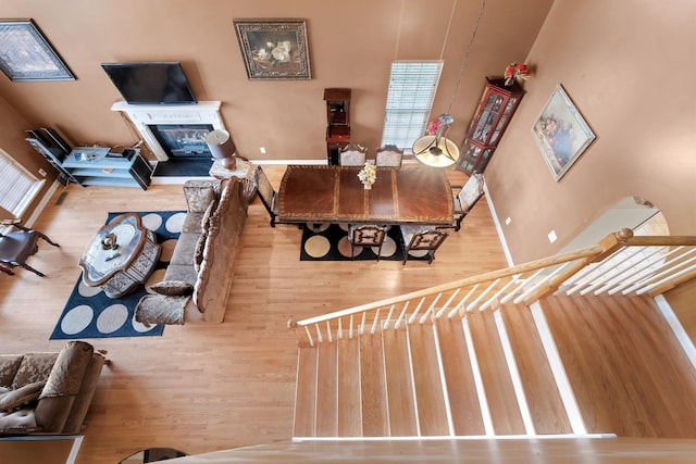 living room with hardwood / wood-style flooring and a high ceiling