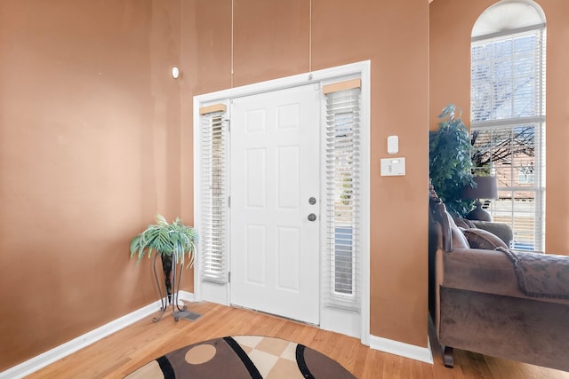 entryway featuring hardwood / wood-style flooring