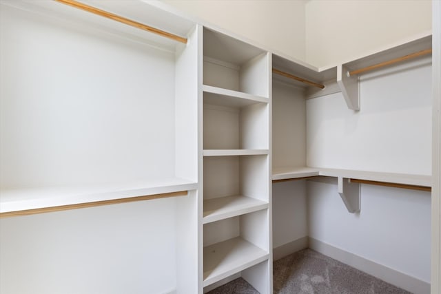 spacious closet with carpet floors