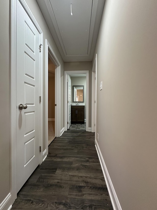 corridor with sink and dark hardwood / wood-style flooring