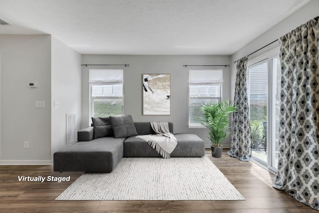 living room with hardwood / wood-style floors and plenty of natural light