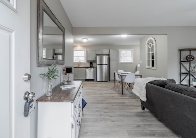 living room with light hardwood / wood-style floors and sink