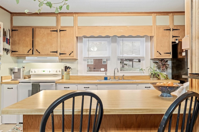 kitchen with black refrigerator, white electric stove, and sink