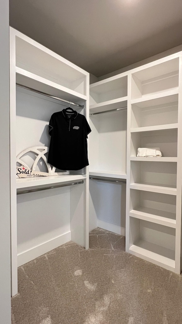 1510 Frye Rd, Columbia, TN 38401 - spacious closet with carpet flooring