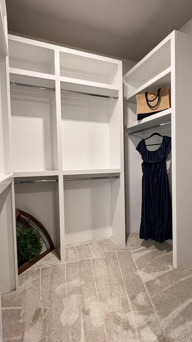 walk in closet with carpet flooring