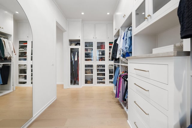 walk in closet with light wood-type flooring