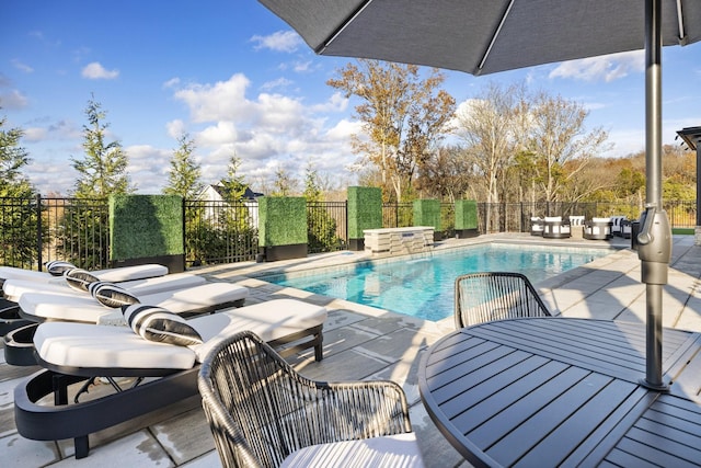 view of pool featuring a patio area