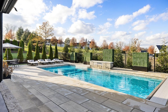 view of swimming pool with a patio