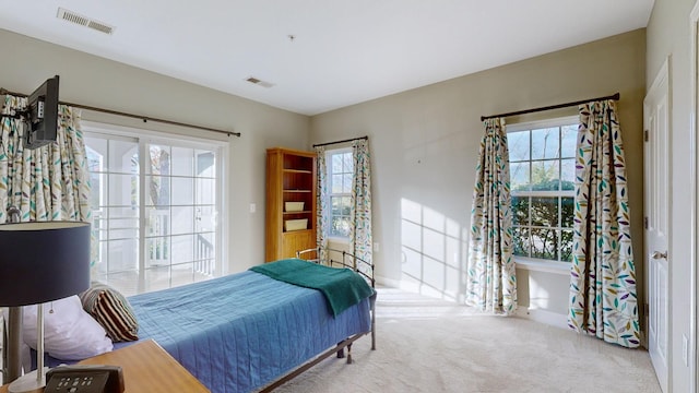 bedroom featuring carpet flooring and multiple windows