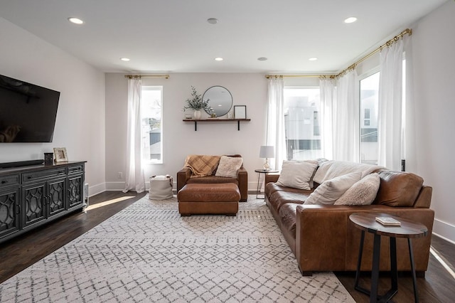 living room featuring dark hardwood / wood-style flooring