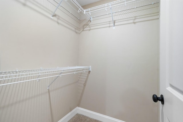 view of spacious closet