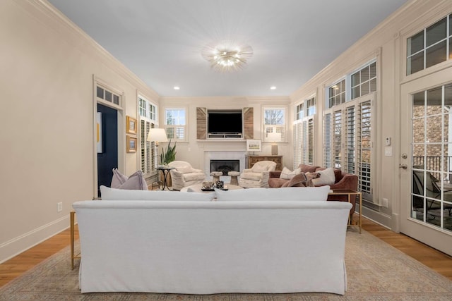 living room with ornamental molding and light hardwood / wood-style flooring