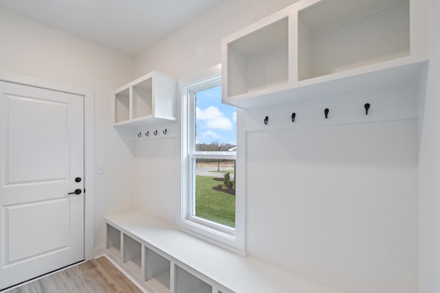 mudroom with light wood-type flooring