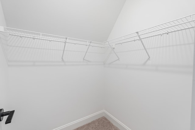 spacious closet featuring carpet floors