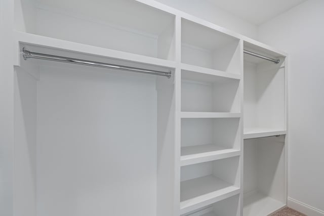 view of spacious closet