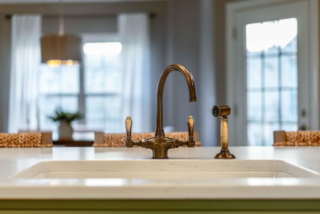 interior details featuring green cabinets and sink