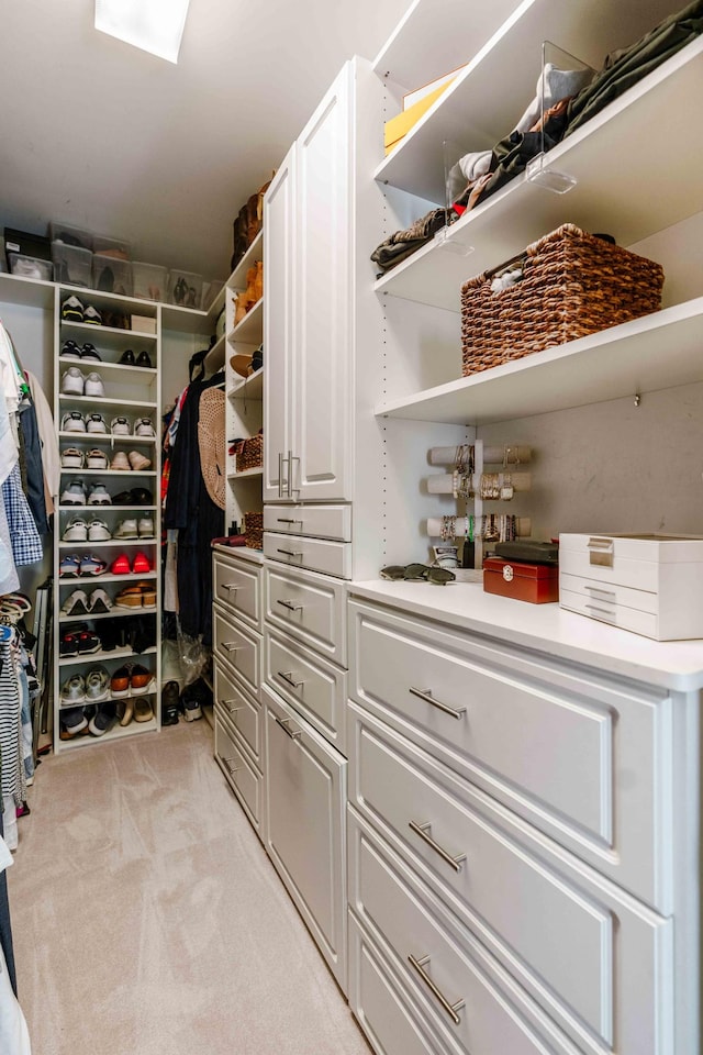 spacious closet with light carpet