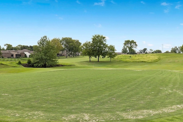 view of property's community with a yard