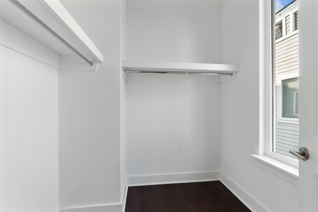 spacious closet featuring dark wood-type flooring